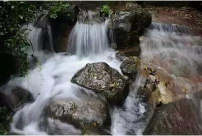 尽享智慧,与海龟中体型最大的海龟是什么一问一答